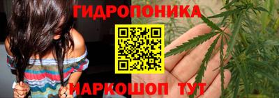 МДПВ Сланцы
